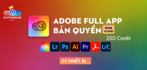 Bản quyền Adobe Full App 80GB Cloud (05 thiết bị) 1 năm - Cấp tài khoản